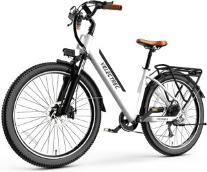 Riding Together: Our Honest Take on the 1000W Adult E-Bike