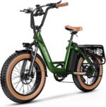 Exploring Our Ride: Fast, Fat-Tire Step-Thru Electric Bike Review