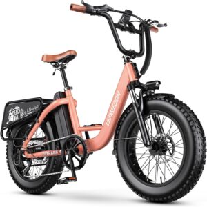 Taming Every Terrain: Our Take on the 1500W Fat Tire Ebike